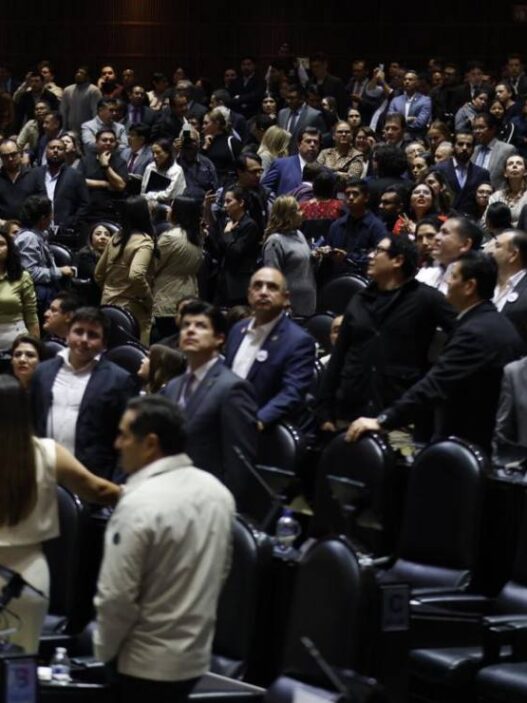 Diputados avalan nulidad de elecciones por injerencia extranjera