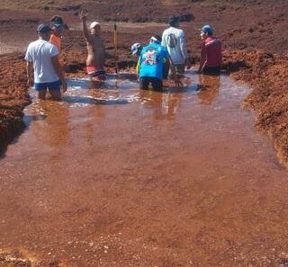 Playas de Quintana Roo en alerta roja por sargazo masivo