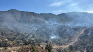 Chihuahua lidera en superficie afectada por incendios forestales