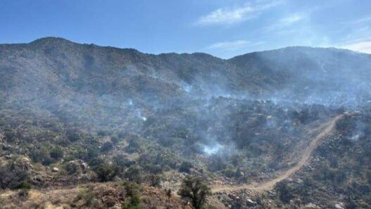 Chihuahua lidera en superficie afectada por incendios forestales