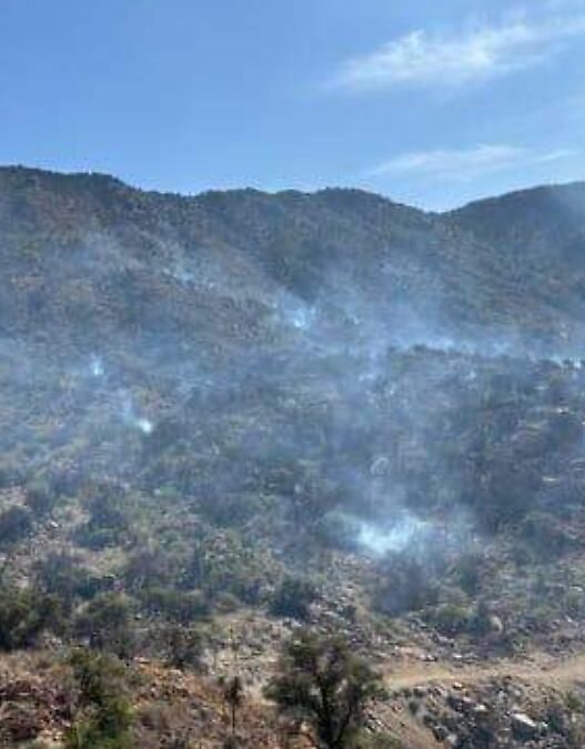 Chihuahua lidera en superficie afectada por incendios forestales