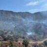 Chihuahua lidera en superficie afectada por incendios forestales