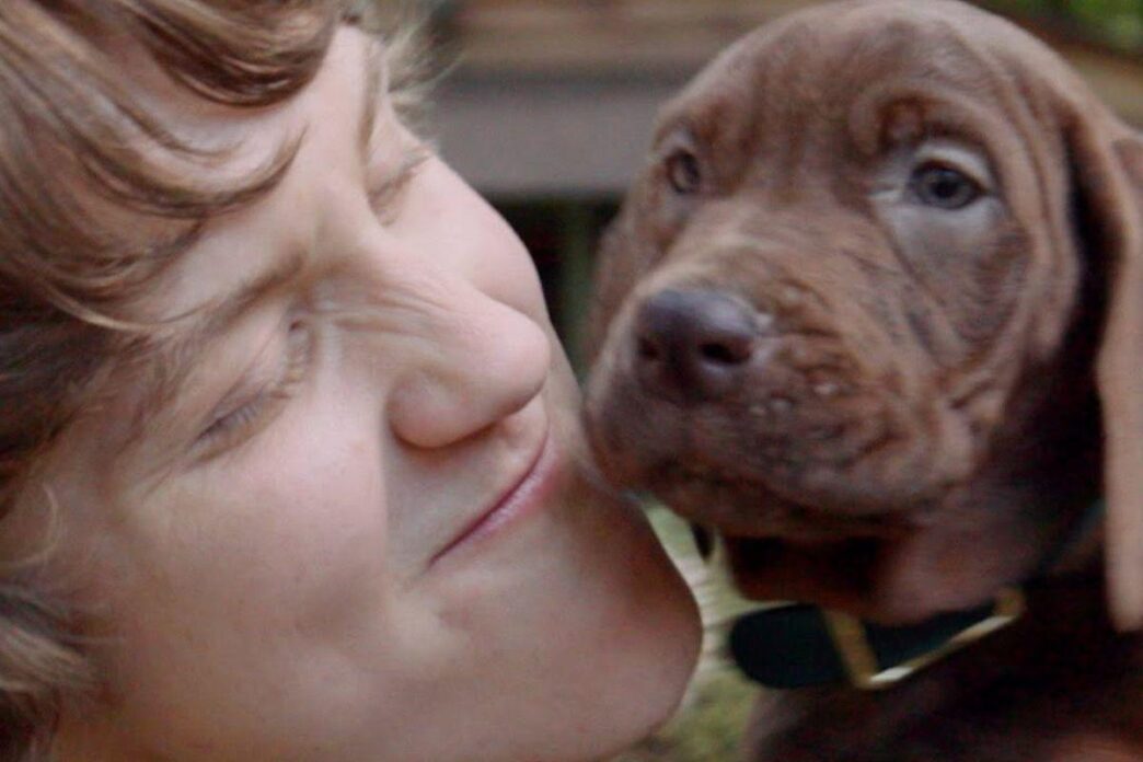 Netflix estrenará Scooby-Doo: Origins live action en 2027