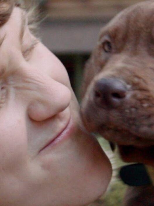 Netflix estrenará Scooby-Doo: Origins live action en 2027