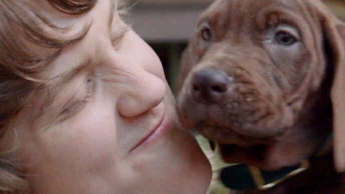 Netflix estrenará Scooby-Doo: Origins live action en 2027