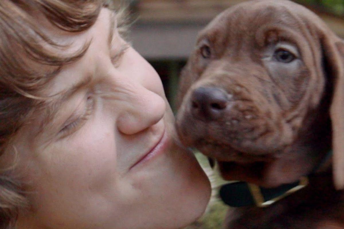 Netflix estrenará Scooby-Doo: Origins live action en 2027