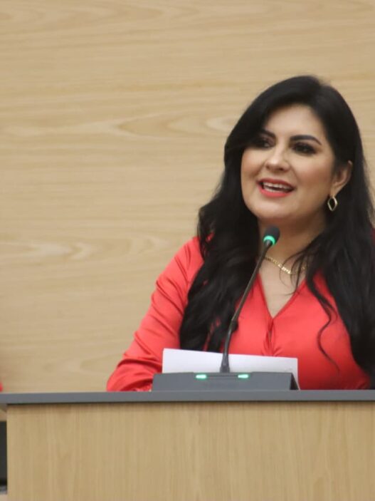Delfina Pozos pide alianza opositora contra Morena en Puebla 2027