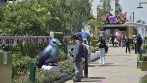 Morena defiende la Calzada Flotante, nuevo parque en Tlalpan