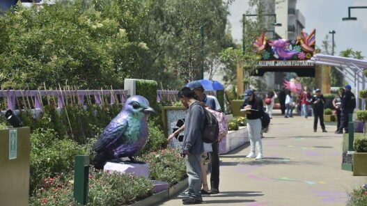 Morena defiende la Calzada Flotante, nuevo parque en Tlalpan