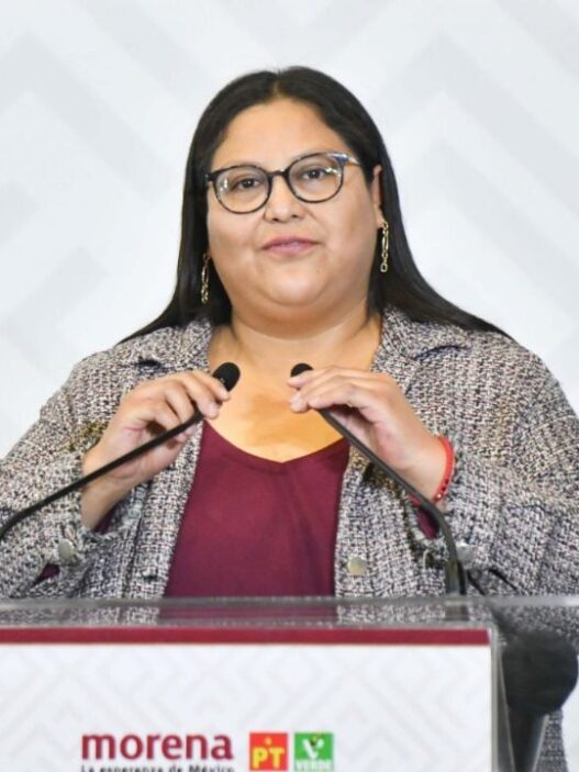 Morena auditará coordinadores y revisa alianza con PVEM en SLP