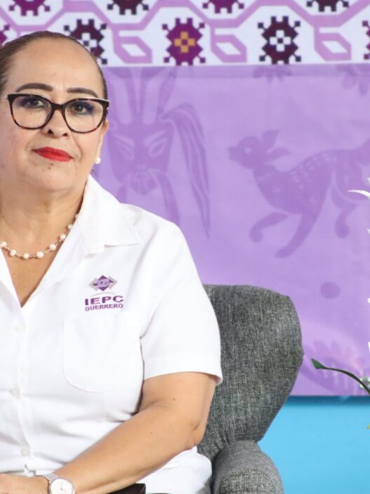 IEPC: Asambleas de Morena son internas, no actos de campaña
