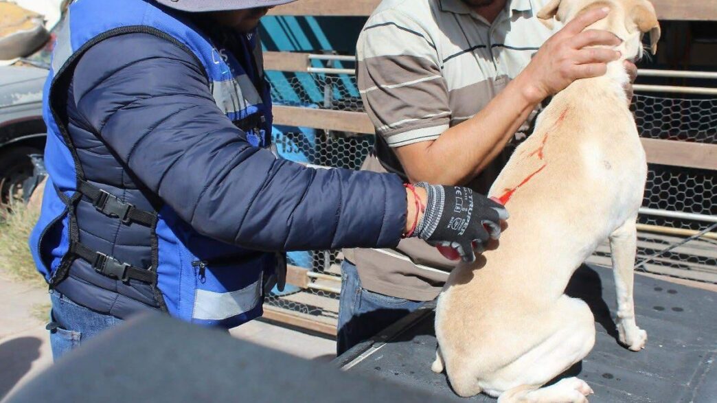 Impas llevará brigadas de salud gratuita a colonias de Chihuahua