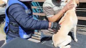 Impas llevará brigadas de salud gratuita a colonias de Chihuahua