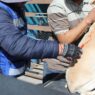 Impas llevará brigadas de salud gratuita a colonias de Chihuahua
