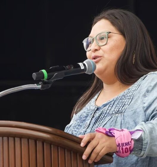 Citlalli Hernández rechaza críticas de congresista de EU a Morena