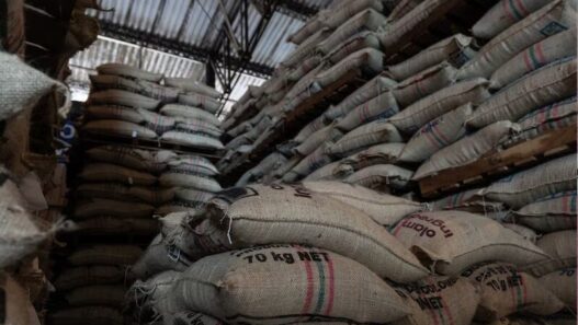 Exportación de café en Colombia sigue estable tras sismo