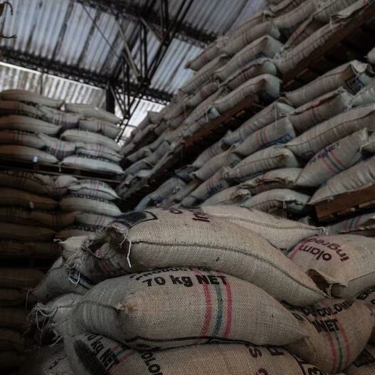 Exportación de café en Colombia sigue estable tras sismo