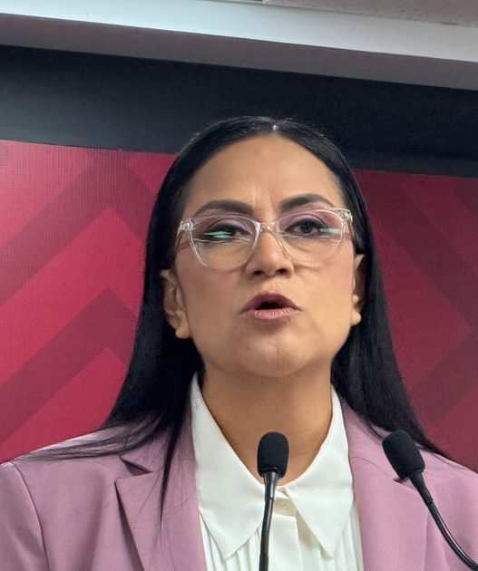 Morena defiende a López Beltrán ante denuncia en el INE