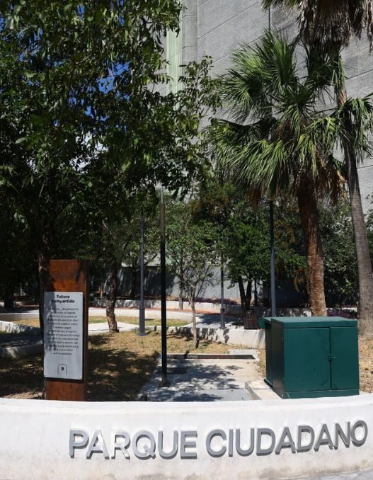 Diputados proponen padrón para proteger áreas verdes en Monterrey