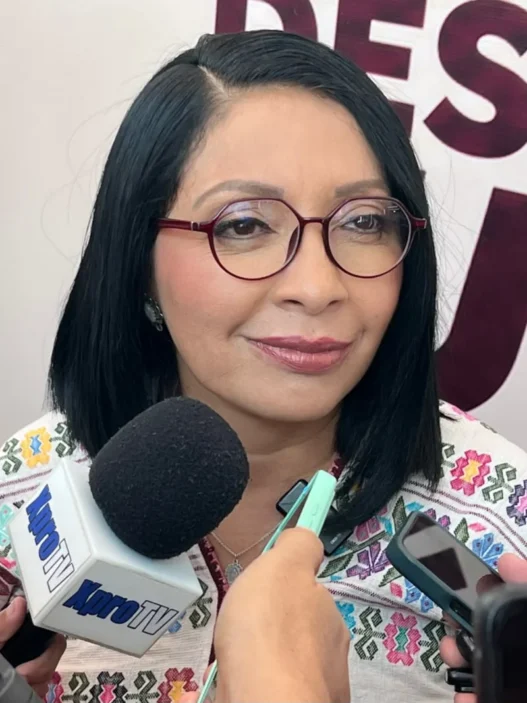 Morena aún sin fecha para definir coordinación estatal en Guerrero
