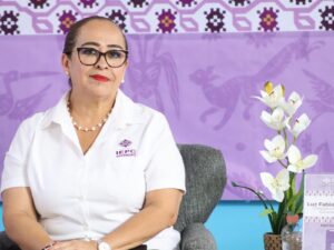 IEPC: Asambleas de Morena son internas y no actos de campaña