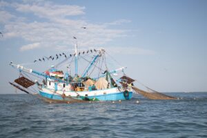 Tamaulipas impulsa pesca responsable para proteger tortugas marinas