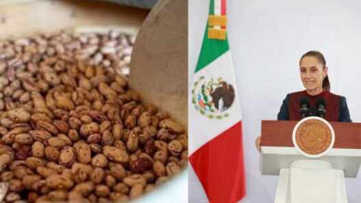 Sheinbaum garantiza precio de frijol y apoyo al campo en Zacatecas