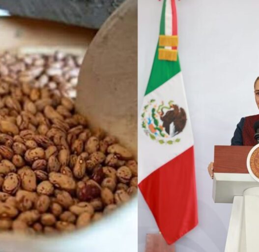 Sheinbaum garantiza precio de frijol y apoyo al campo en Zacatecas