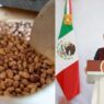 Sheinbaum garantiza precio de frijol y apoyo al campo en Zacatecas