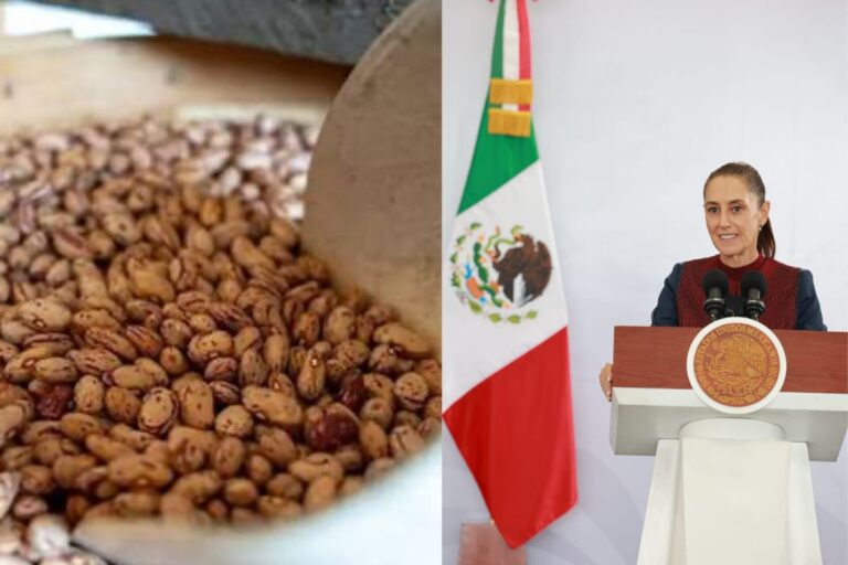 Sheinbaum garantiza precio de frijol y apoyo al campo en Zacatecas