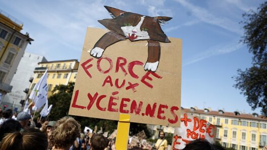 Francia suspende granadas policiales tras herida a menor en protesta