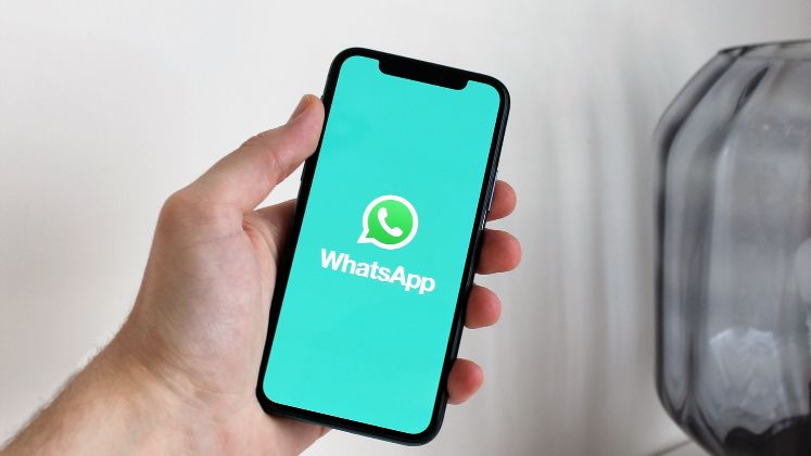 WhatsApp permitirá programar mensajes y videollamadas sin cuenta